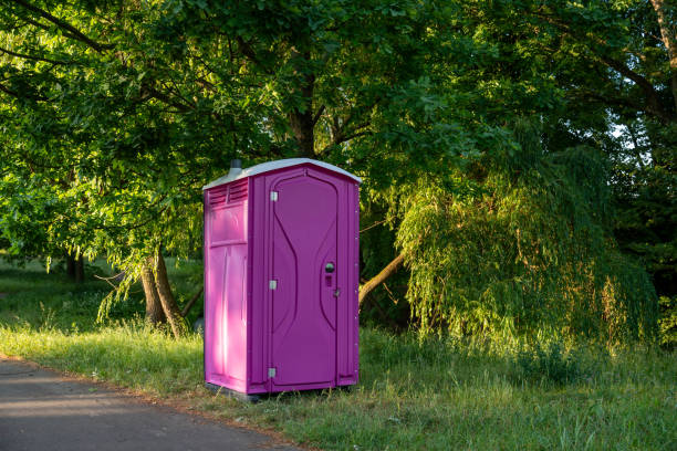 Best Affordable portable toilet rental  in La Cygne, KS